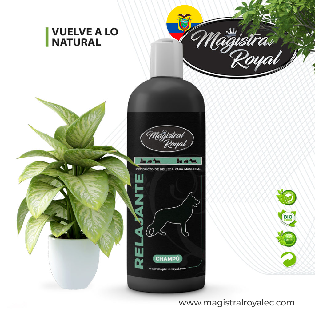 bidondecostadovuelve-a-lo-naturalaloe-1024x10242
