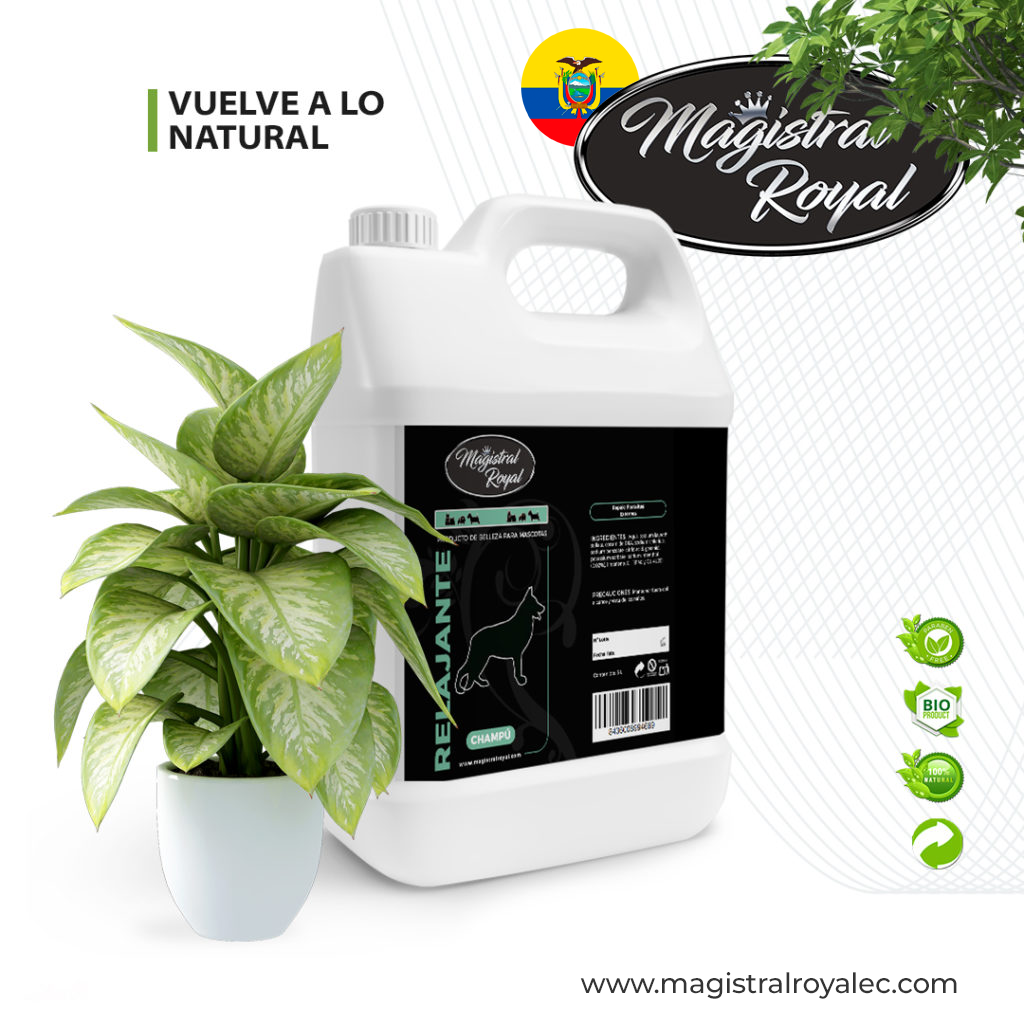 bidondecostadovuelve-a-lo-naturalaloe-nature fresh